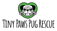 Tiny Paws Pug Rescue